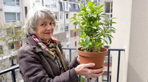 Cette plante remplace vos cubes de bouillon et se plante en pot à cette période précise