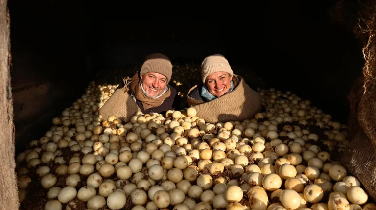 « Venez avec amour, repartez avec des patates » : le bon plan insolite d’un couple d’agriculteurs pour la Saint-Valentin « Venez avec amour, repartez avec des patates » : le bon plan insolite d’un couple d’agriculteurs pour la Saint-Valentin